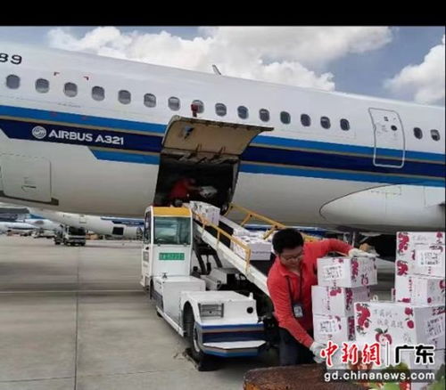 南航物流攜手廣東省農(nóng)業(yè)農(nóng)村廳助力‘荔’啟航，廣州物流賦能現(xiàn)代農(nóng)業(yè)新篇章